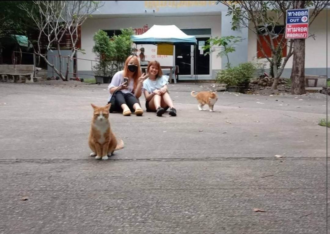 น้ำพุร้อนหนองหญ้าปล้อง