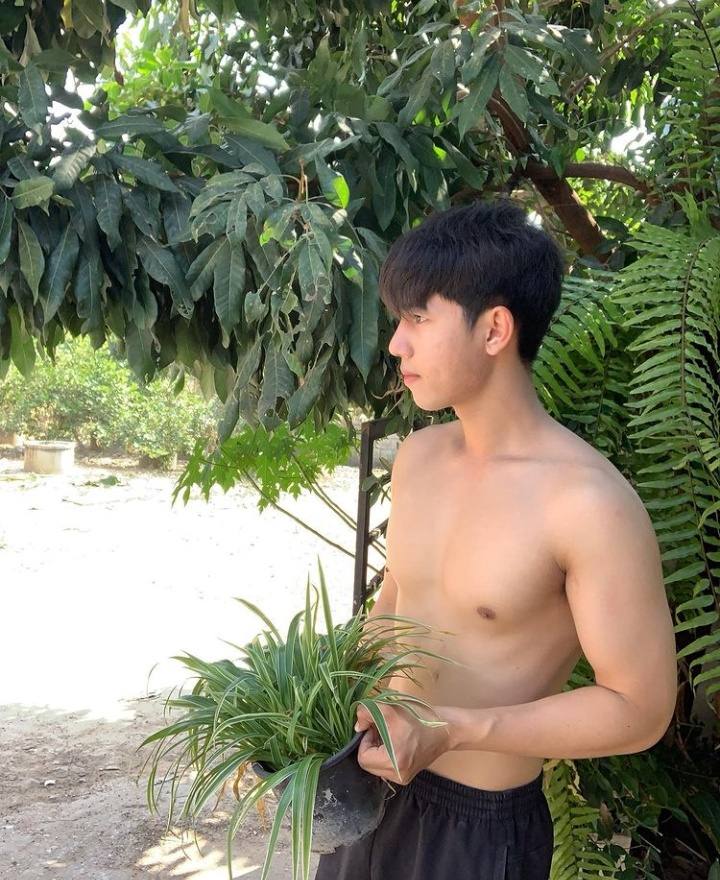 ดีต่อใจ#2346ผู้ชาย-ไม้ประดับ