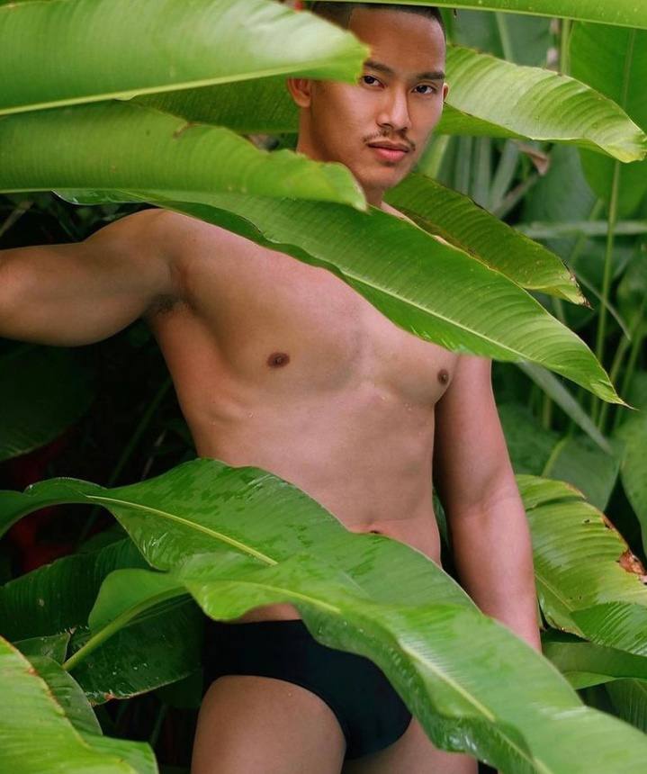 ดีต่อใจ#2346ผู้ชาย-ไม้ประดับ