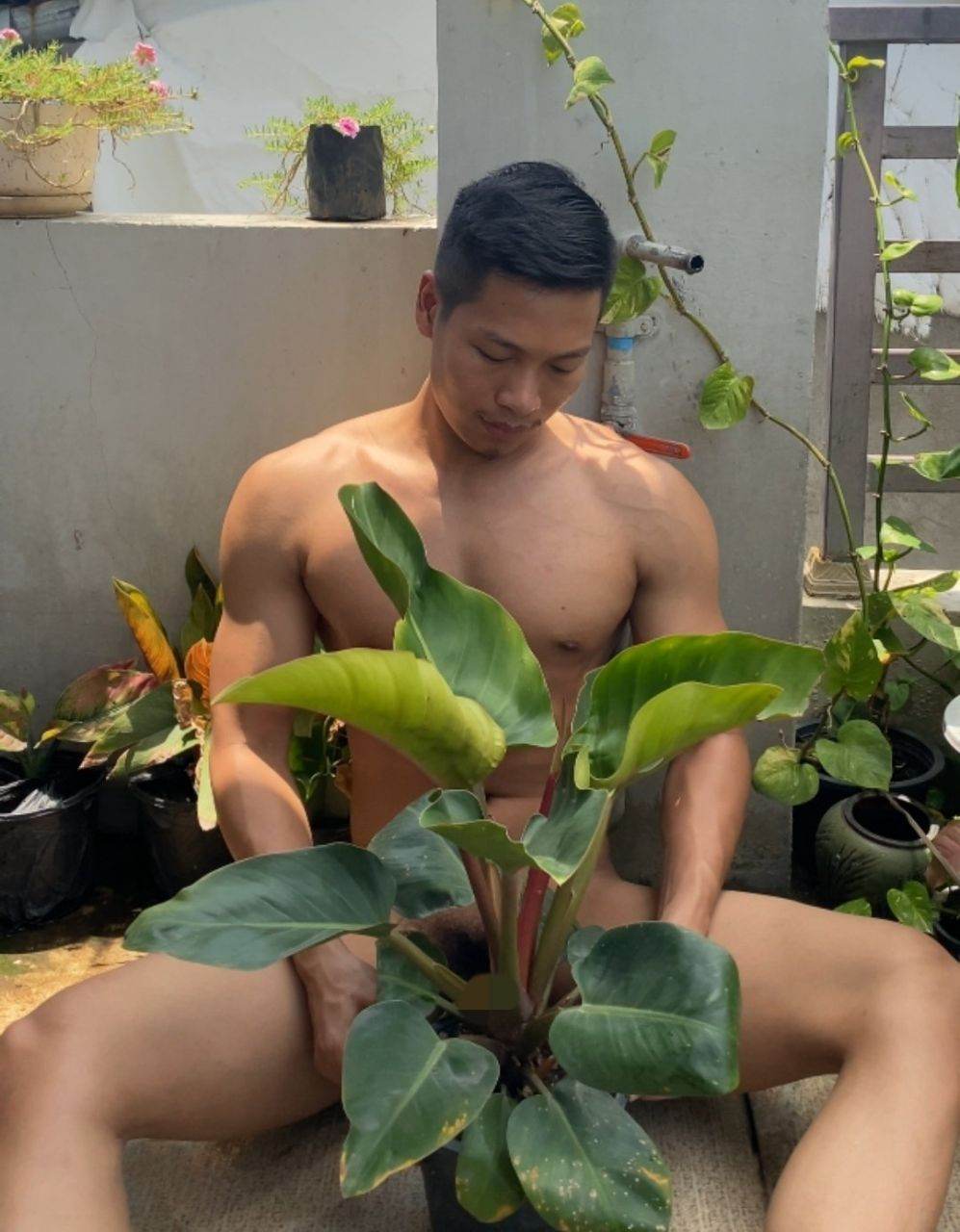 ดีต่อใจ#2346ผู้ชาย-ไม้ประดับ