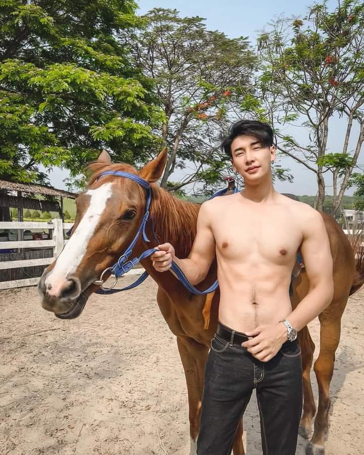 ดีต่อใจ#2366ม.ม้าคึกคัก