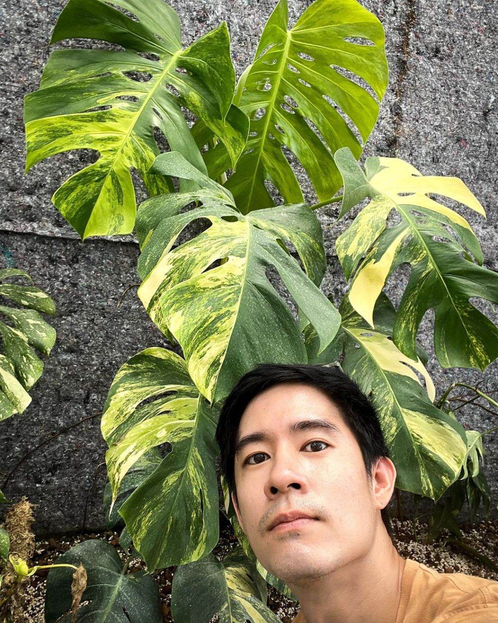 พลังเขื่อนน้ำทะลัก