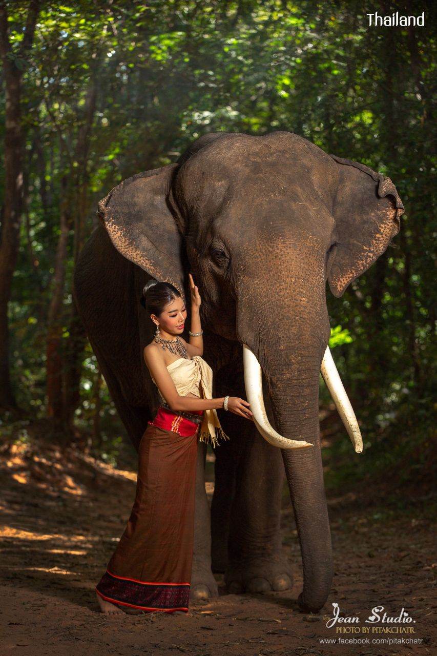 Kuey or Kuy ethnic | THAILAND 🇹🇭