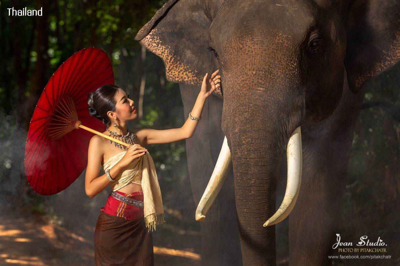 Kuey or Kuy ethnic | THAILAND 🇹🇭