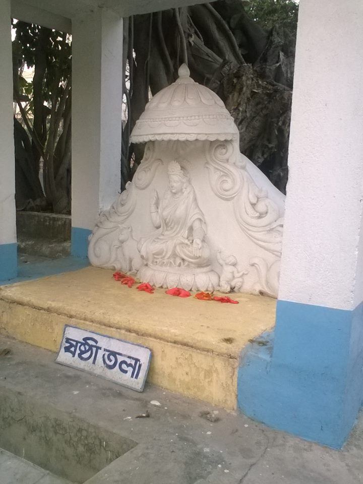 Goddess Shashthi Photo by fb.Ananda Manjari Devi Dasi 15 02 2016.