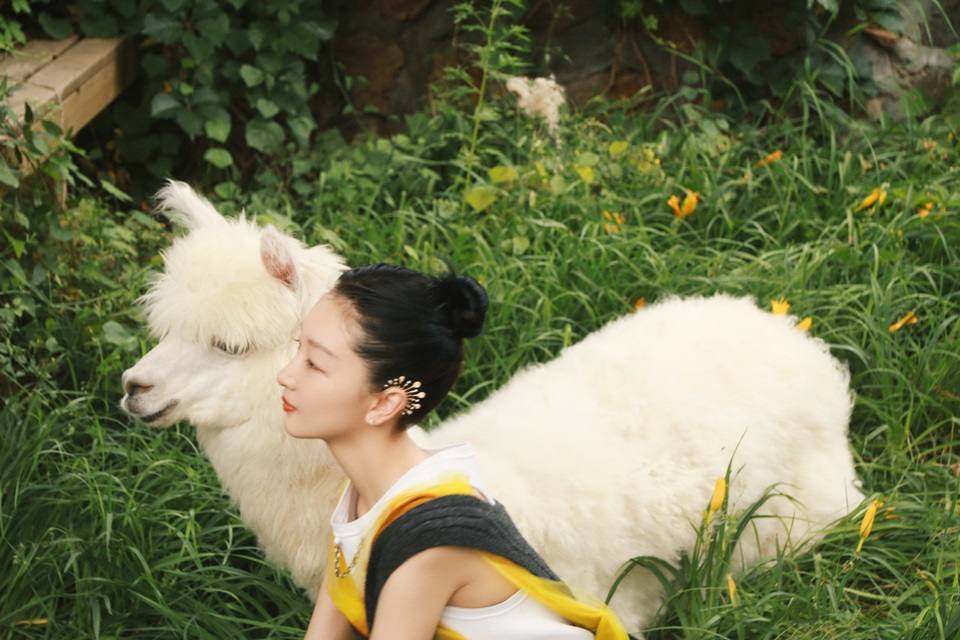 Zhou Dongyu @ Cosmopolitan China August 2022