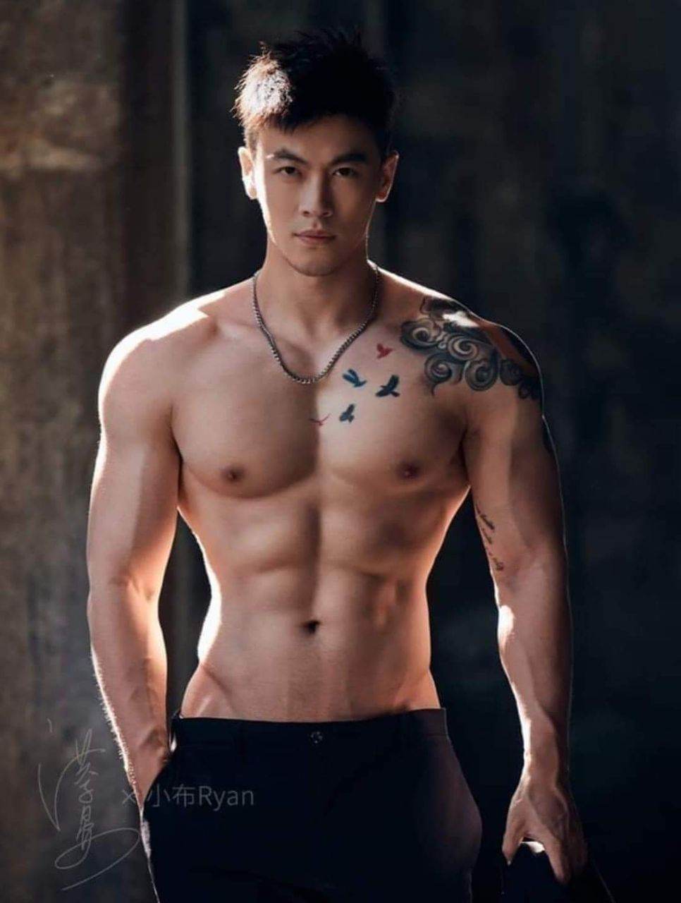 อยากเป็นฉลามที่ชอบงับ...คุณ