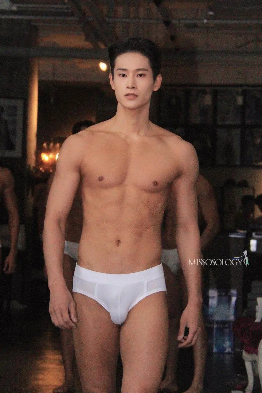 Mister International Korea
