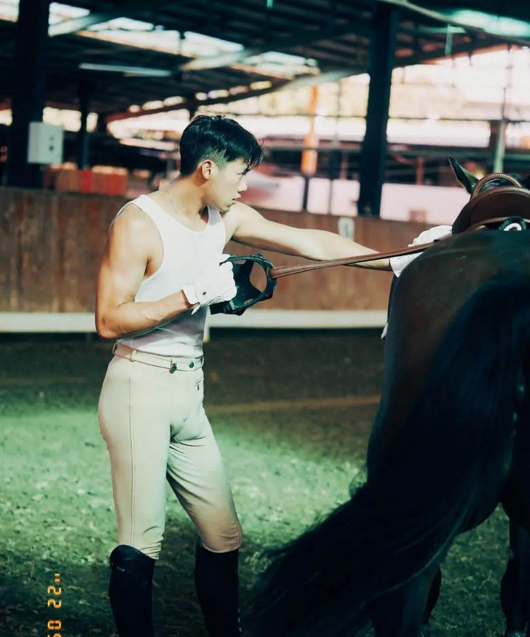 ม้าแสนรัก