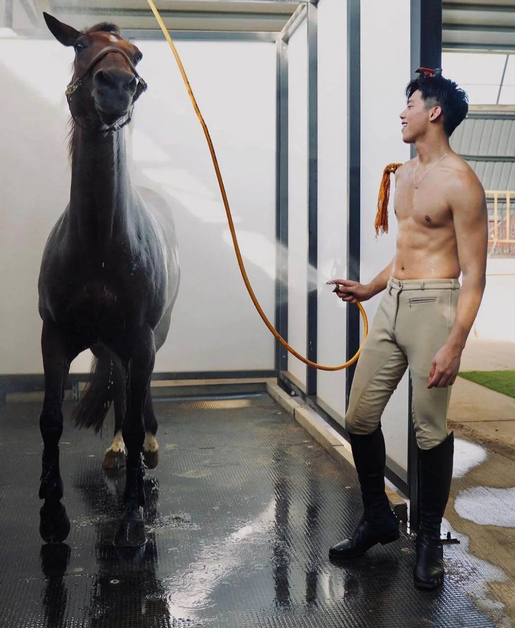 ม้าแสนรัก