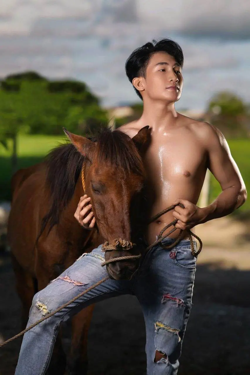 ม้าแสนรัก