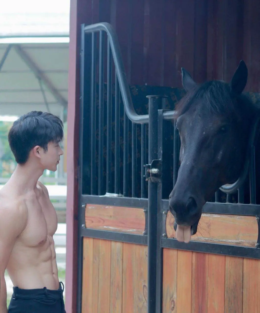 ม้าแสนรัก