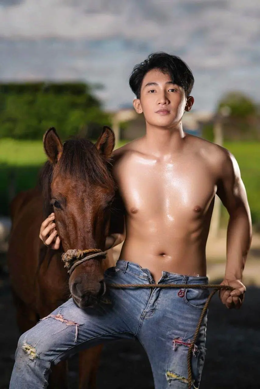 ม้าแสนรัก