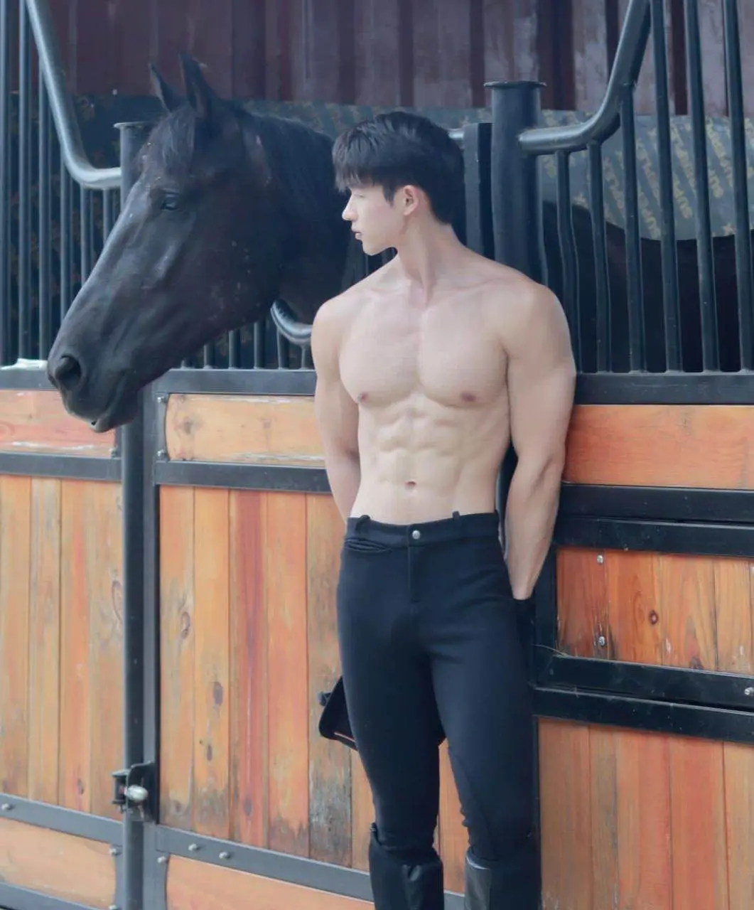 ม้าแสนรัก