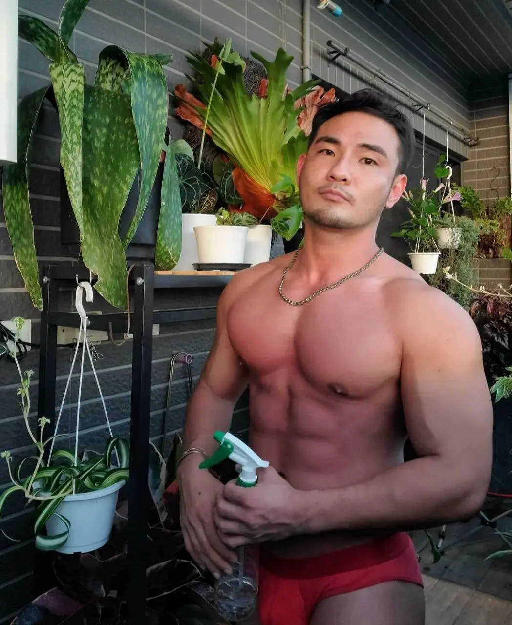 ต้นไม้งาม-ผู้ชายแซ่บ