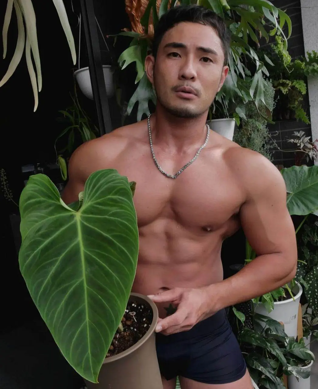 ต้นไม้งาม-ผู้ชายแซ่บ