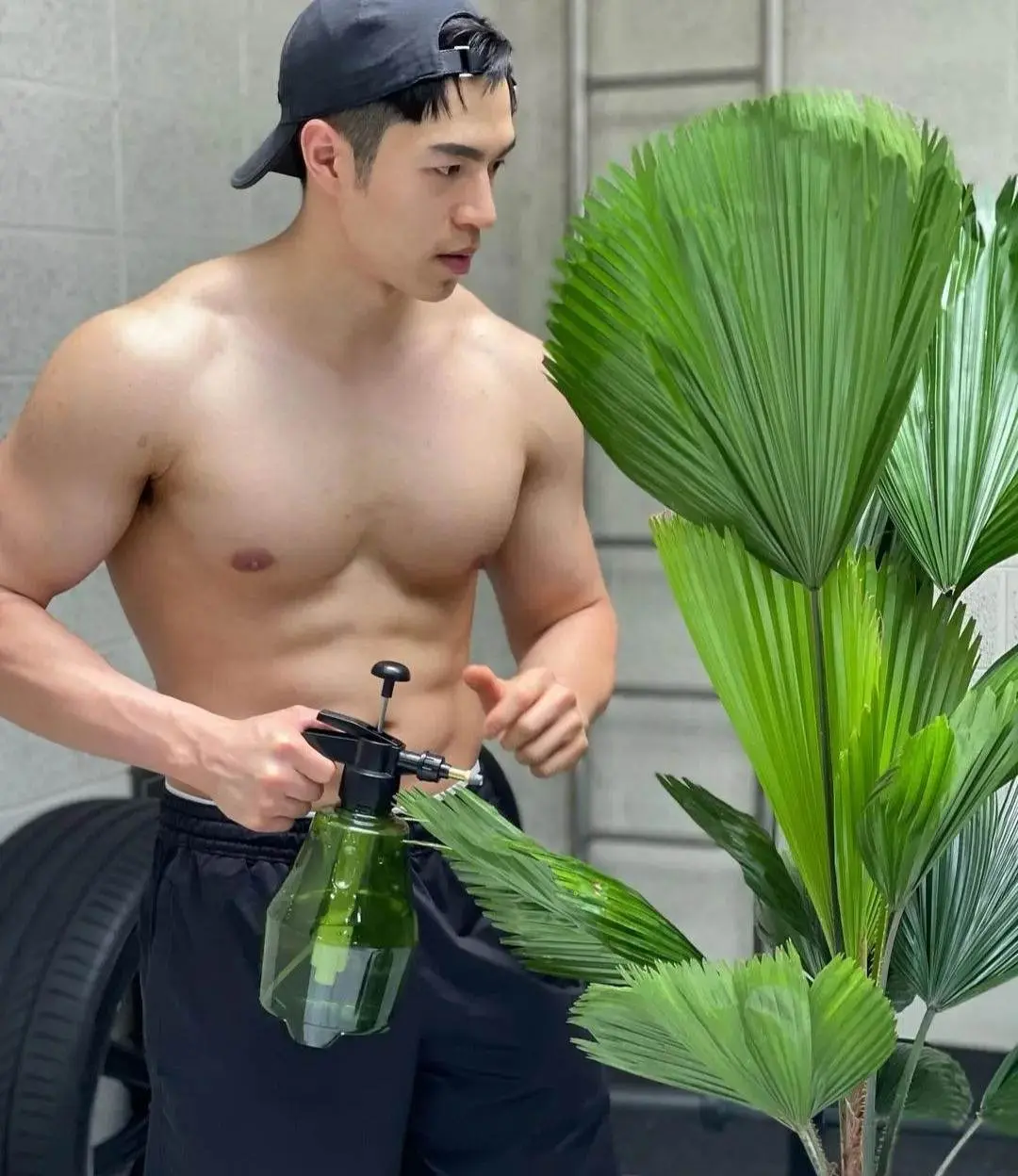 ต้นไม้งาม-ผู้ชายแซ่บ