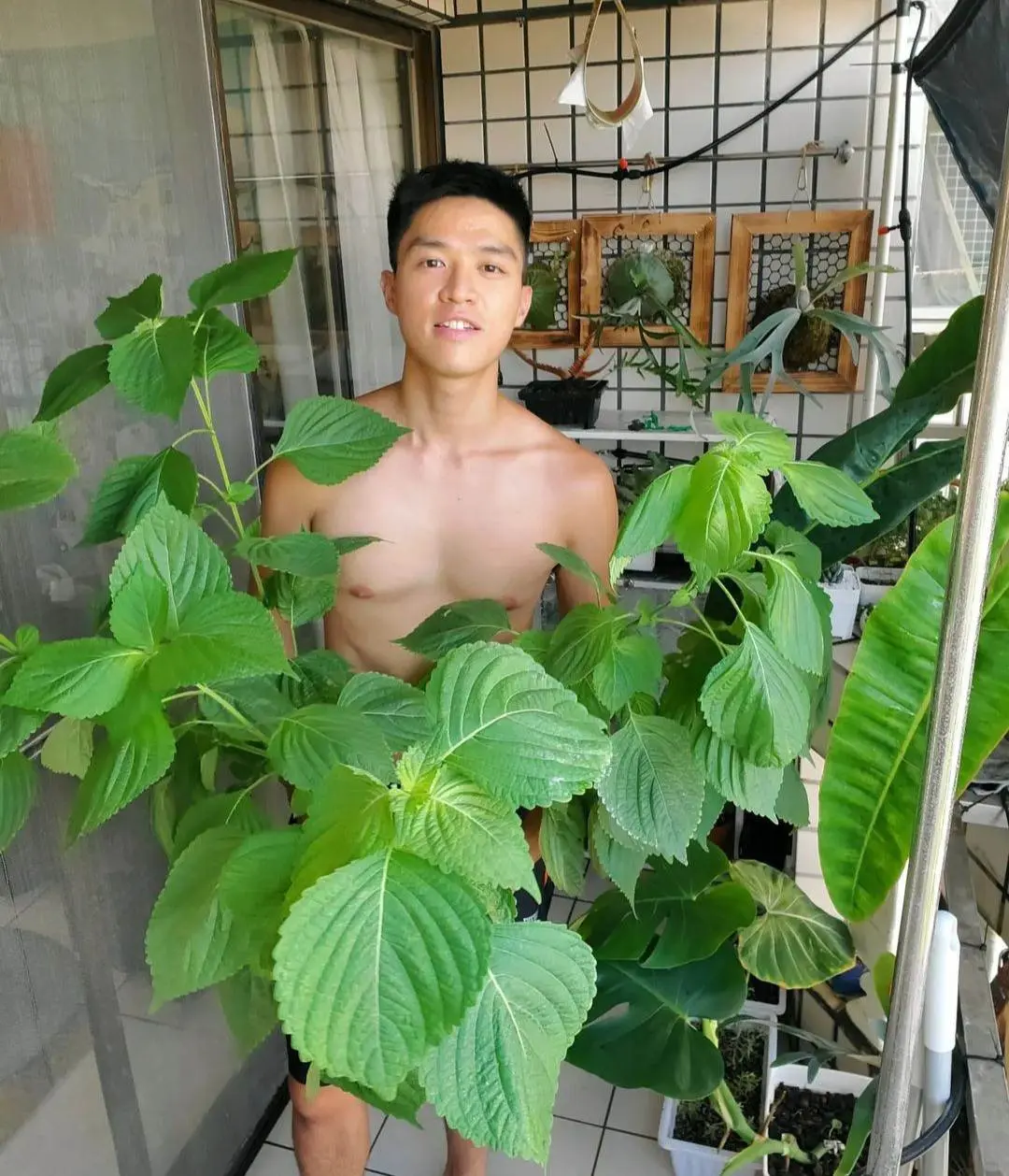 ต้นไม้งาม-ผู้ชายแซ่บ