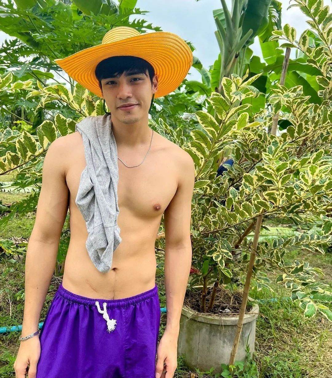 แข็งยามเช้ามืด