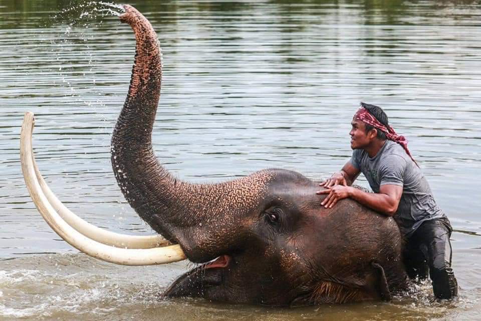 Bouakhao is Kui ethnic | THAILAND 🇹🇭