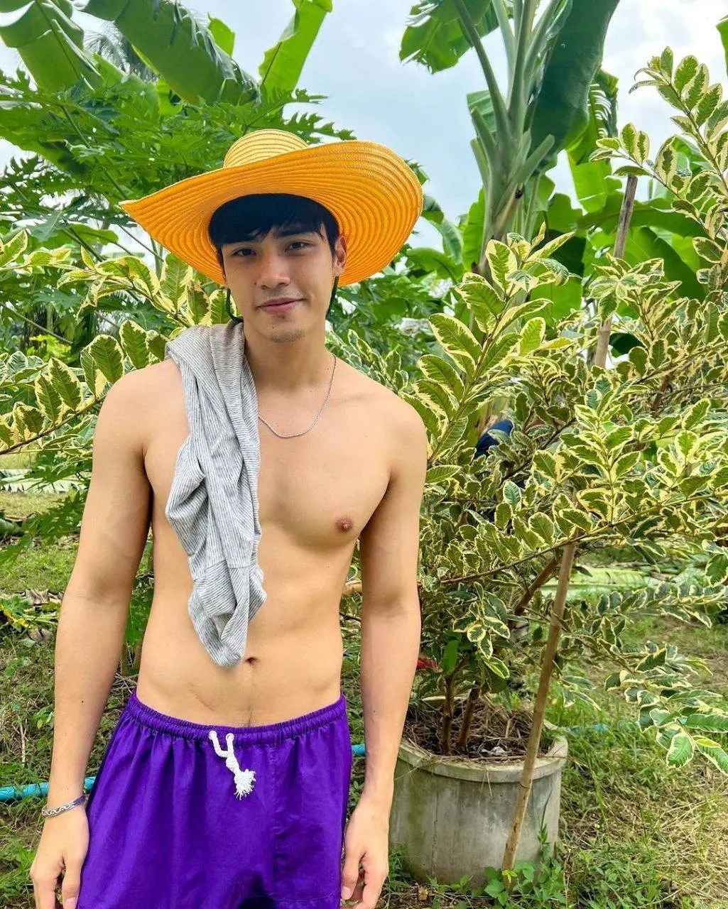 ดาราพาชิม