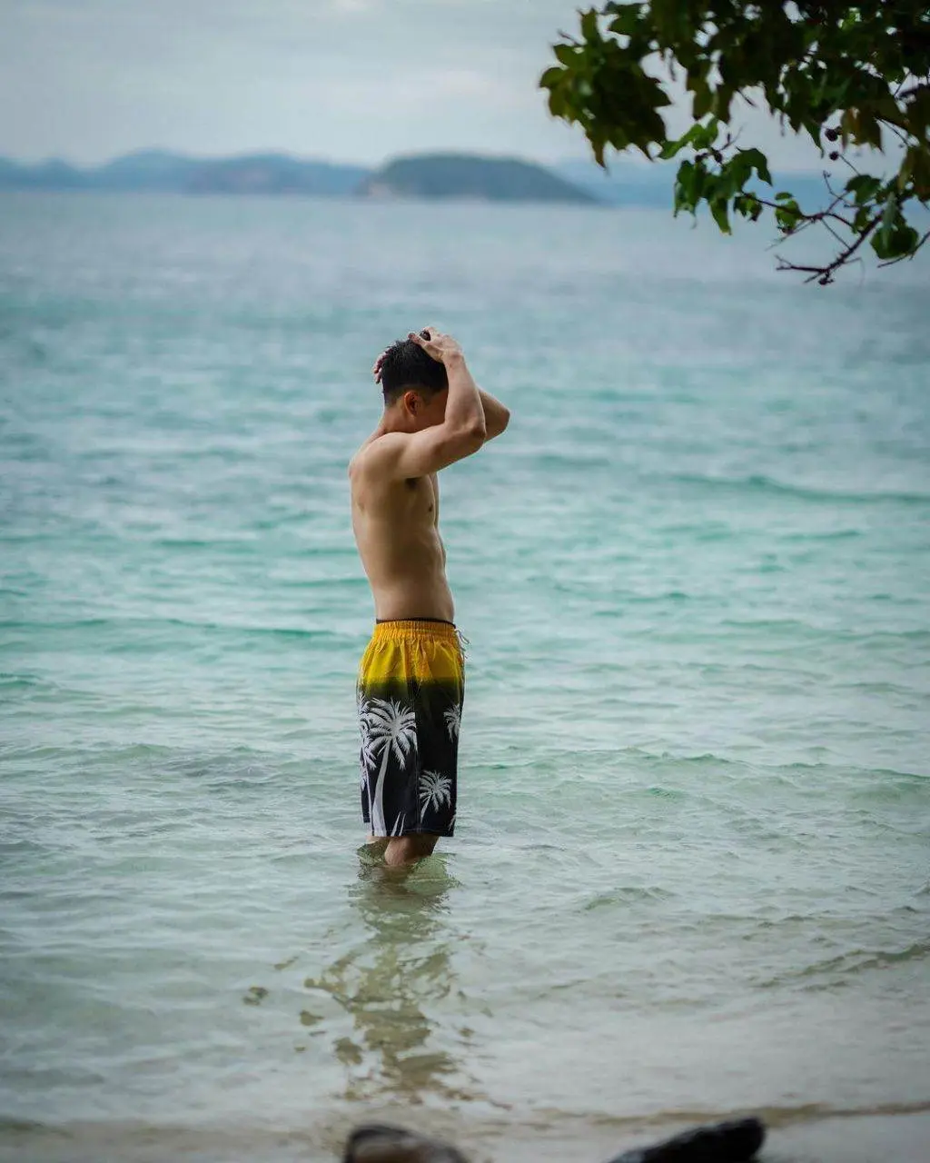 ดาราพาเพลิน