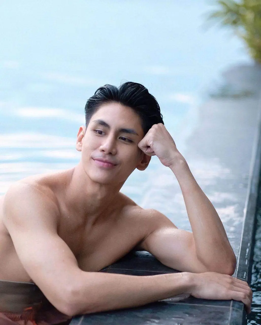 ดาราพาเพลิน