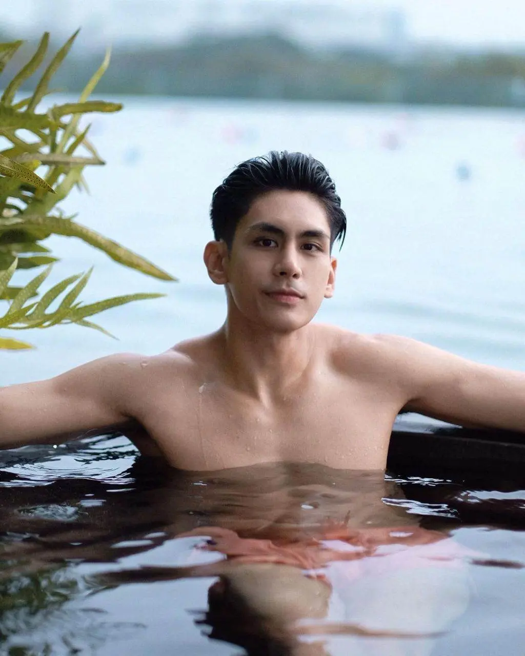ดาราพาเพลิน