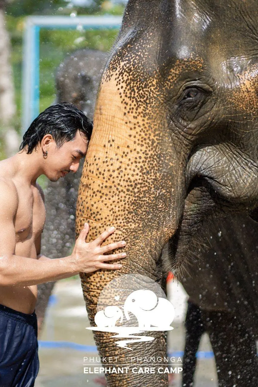 ยินยอมพร้อมจุก