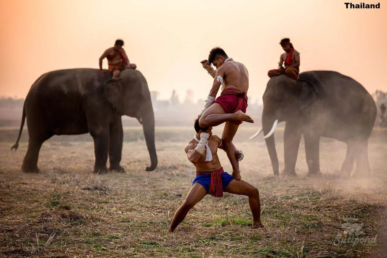 MUAYTHAI: มวยไทย | THAILAND 🇹🇭