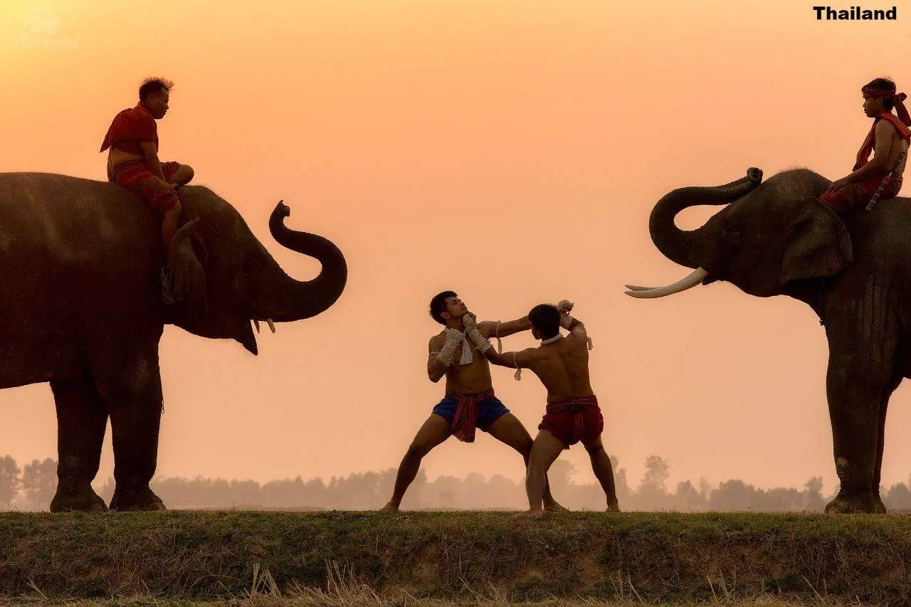MUAYTHAI: มวยไทย | THAILAND 🇹🇭