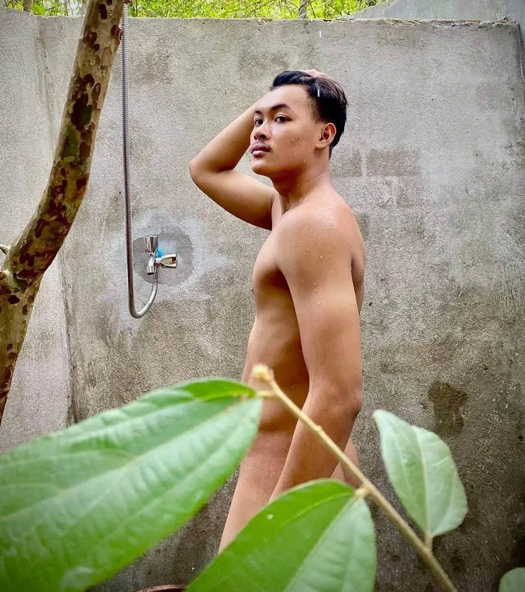 อิจฉา..ใบไม้