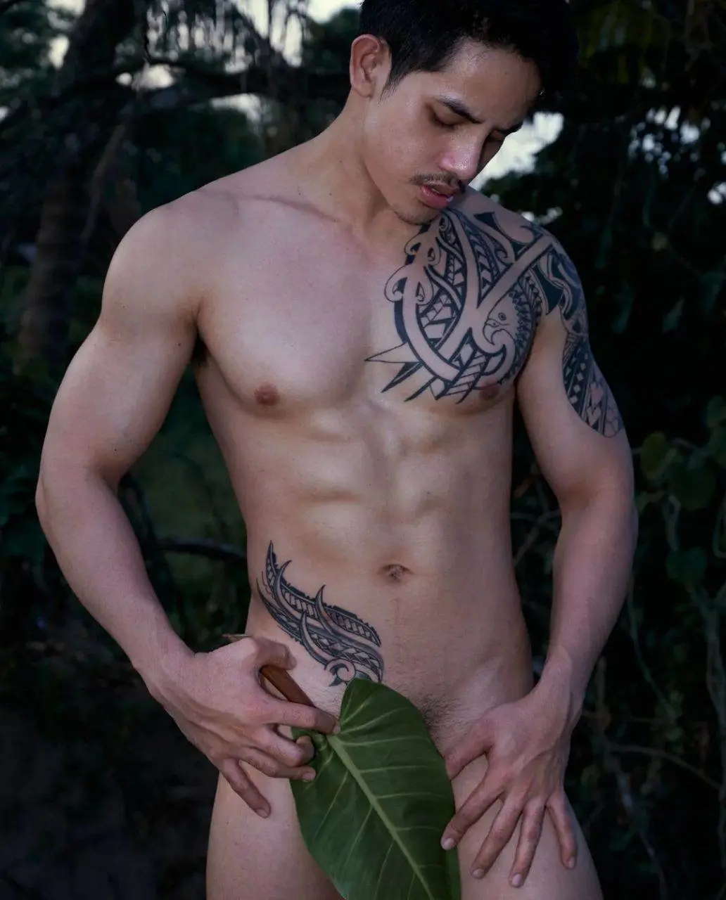 อิจฉา..ใบไม้