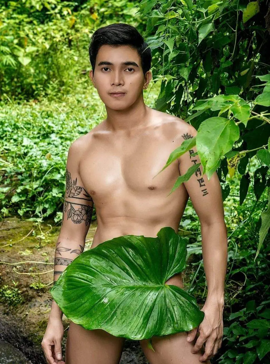 อิจฉา..ใบไม้