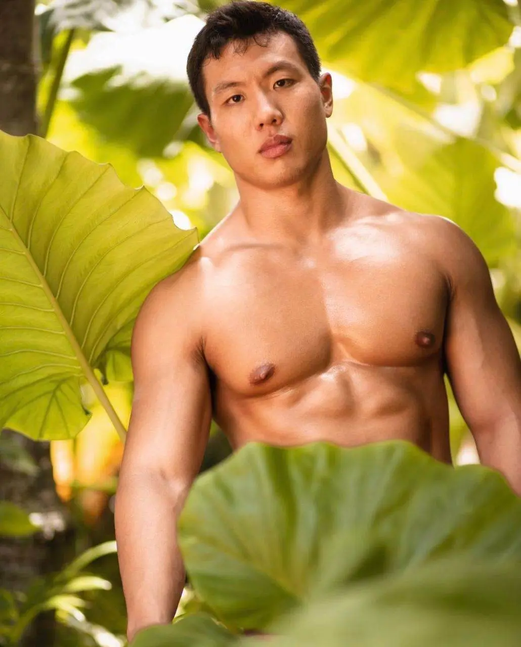 อิจฉา..ใบไม้