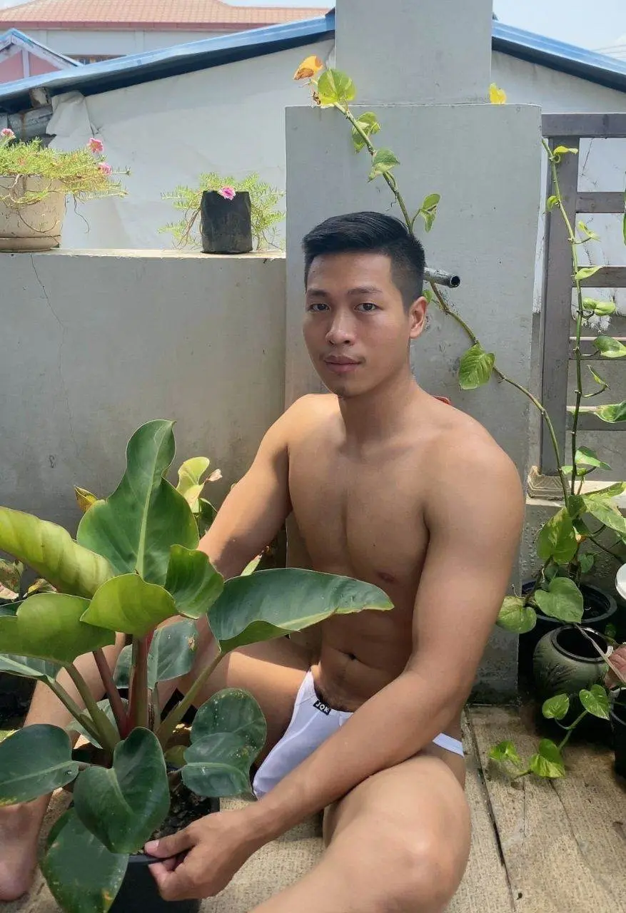 ต้นไม้หน่อสวย