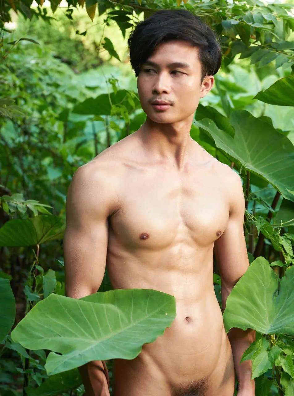 หนุ่มหล่อ-ใบไม้งาม
