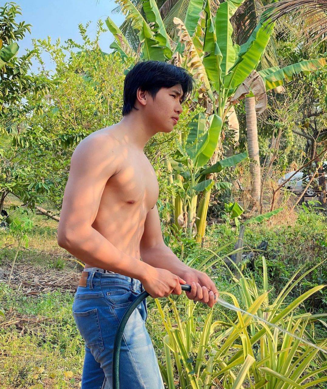 ฟิน-ฟิน-ฟิน