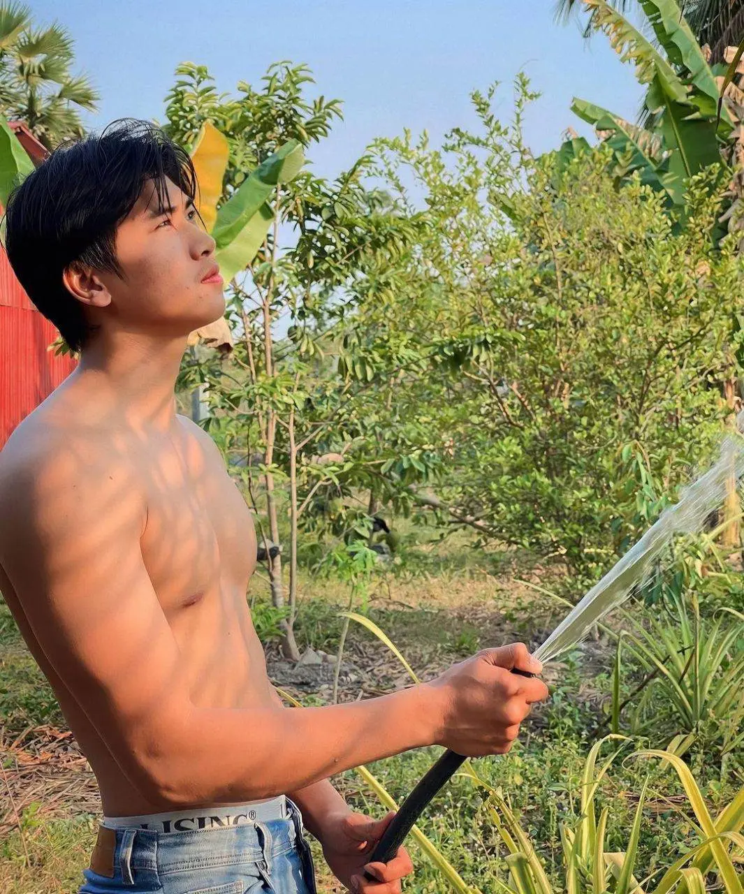 ฟิน-ฟิน-ฟิน