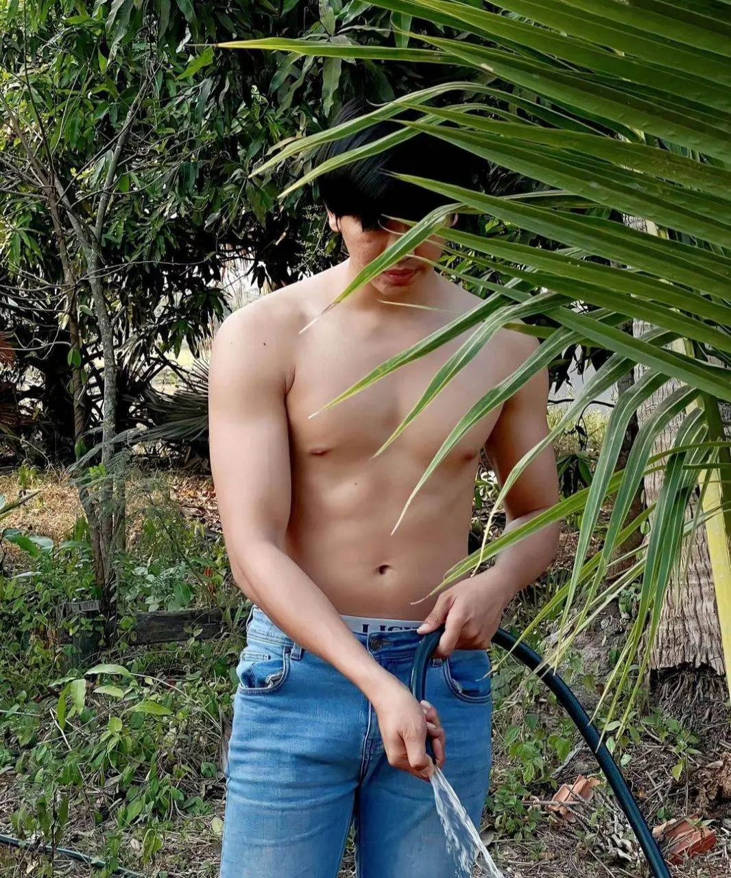 ฟิน-ฟิน-ฟิน