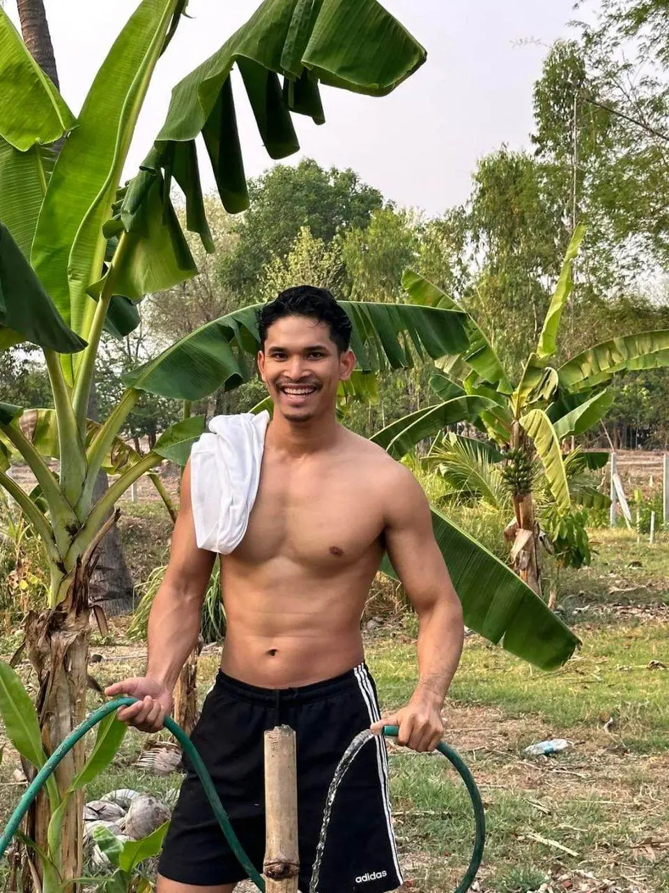 ฟิน-ฟิน-ฟิน
