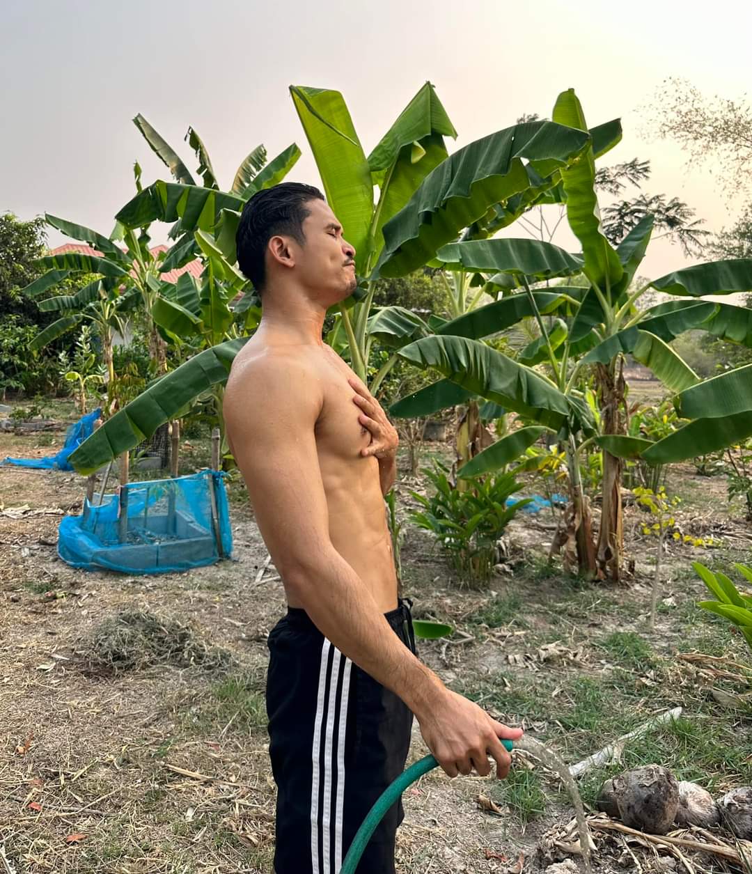 ฟิน-ฟิน-ฟิน