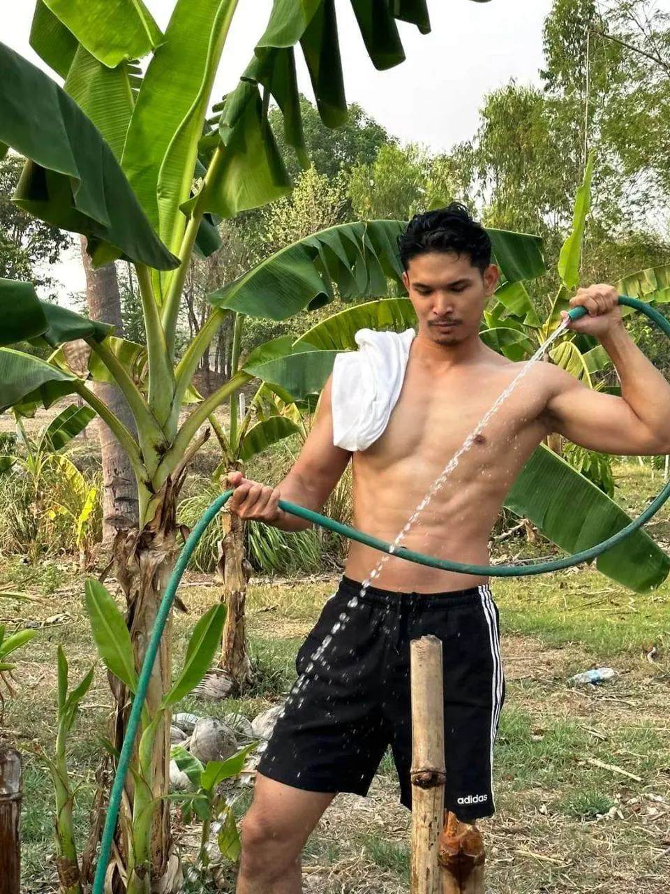 ฟิน-ฟิน-ฟิน