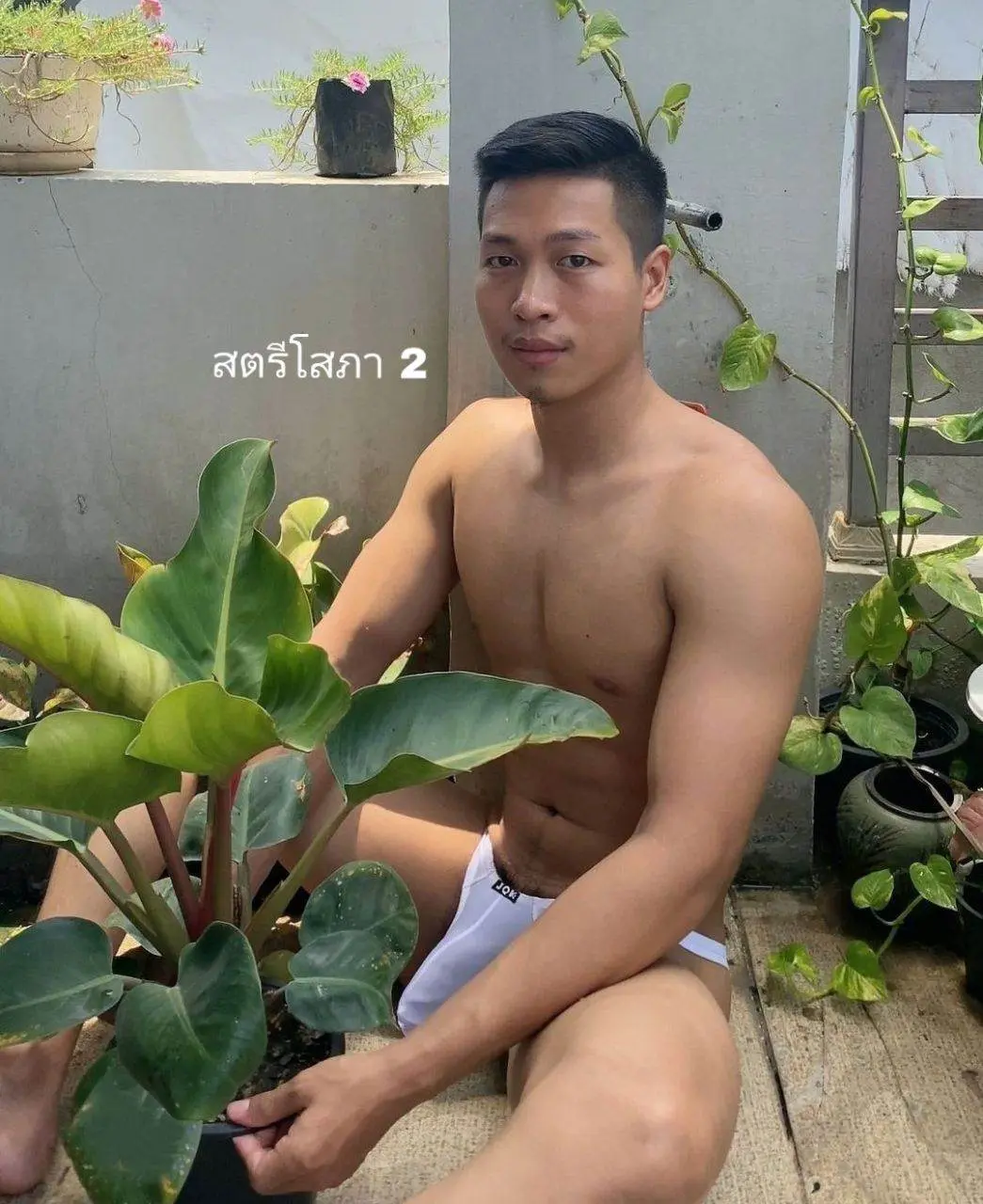 ผู้ชาย..ชอบต้นไม้