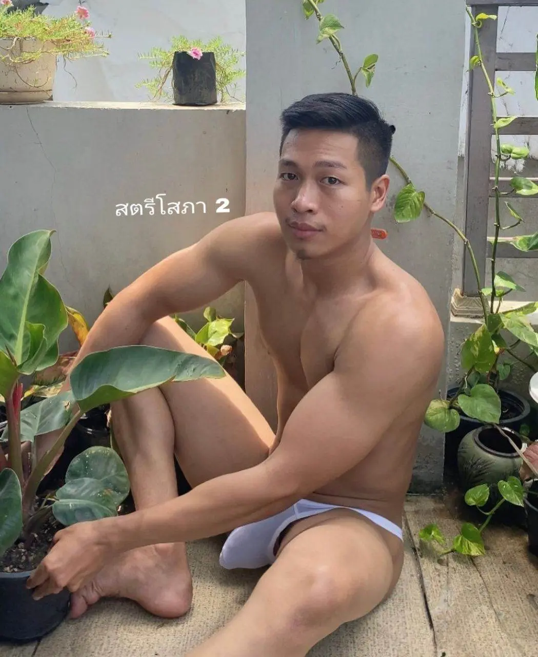 ผู้ชาย..ชอบต้นไม้