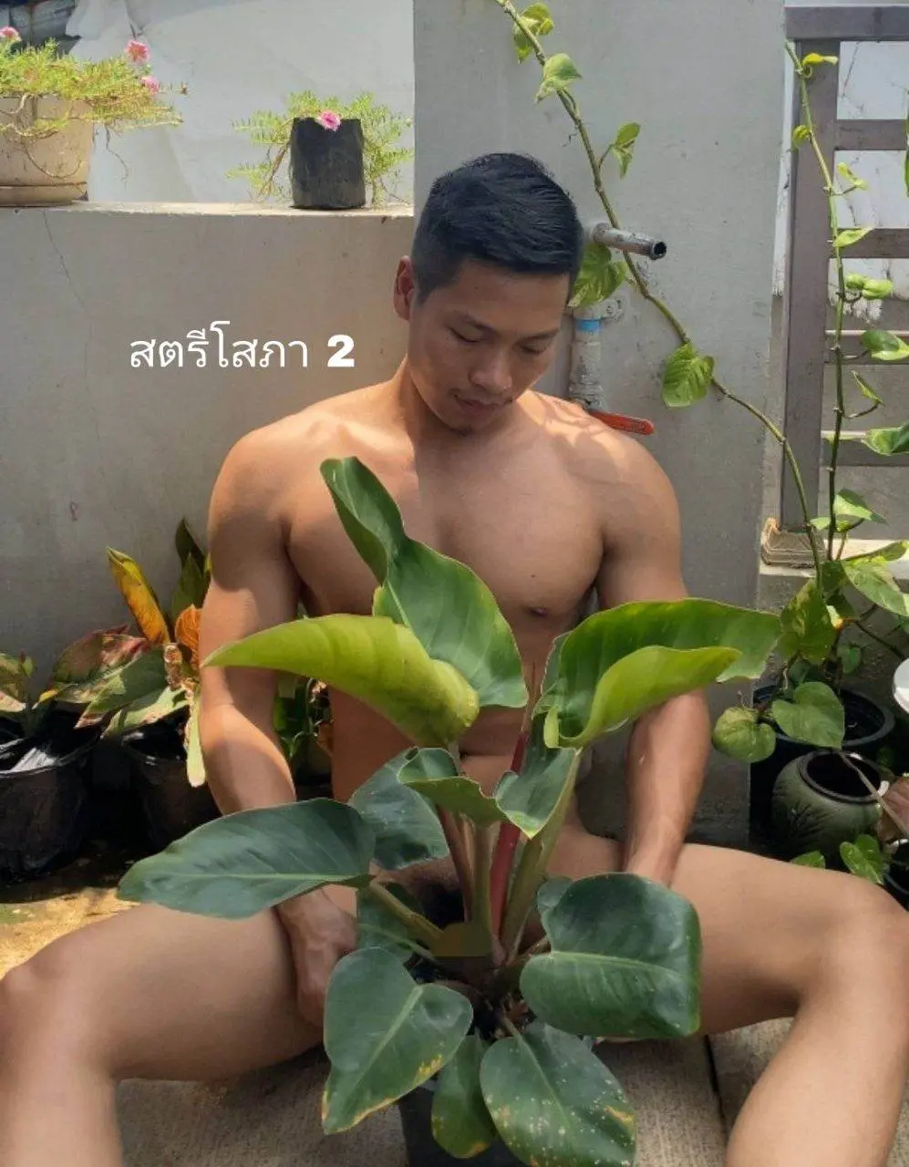 ผู้ชาย..ชอบต้นไม้
