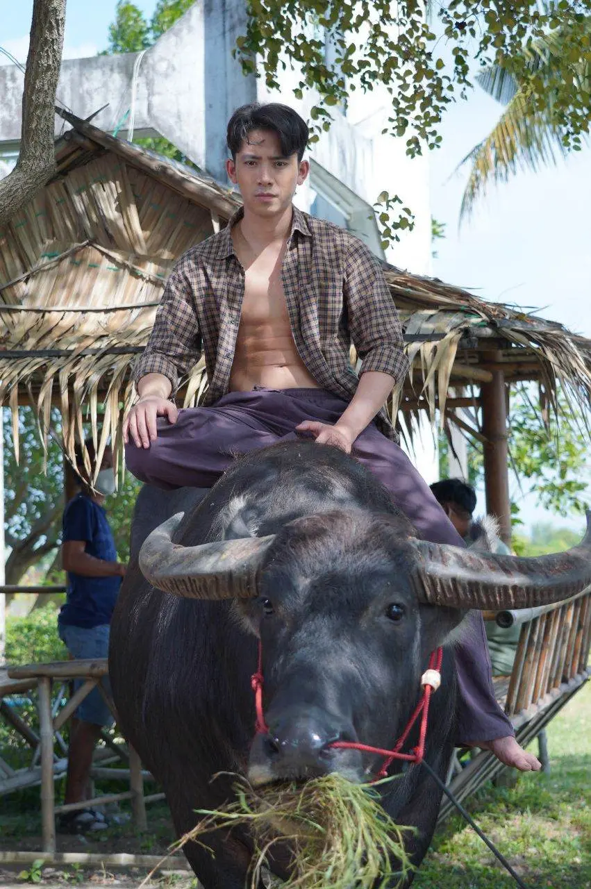 ความนัวของหนุ่มหน้าร้อน