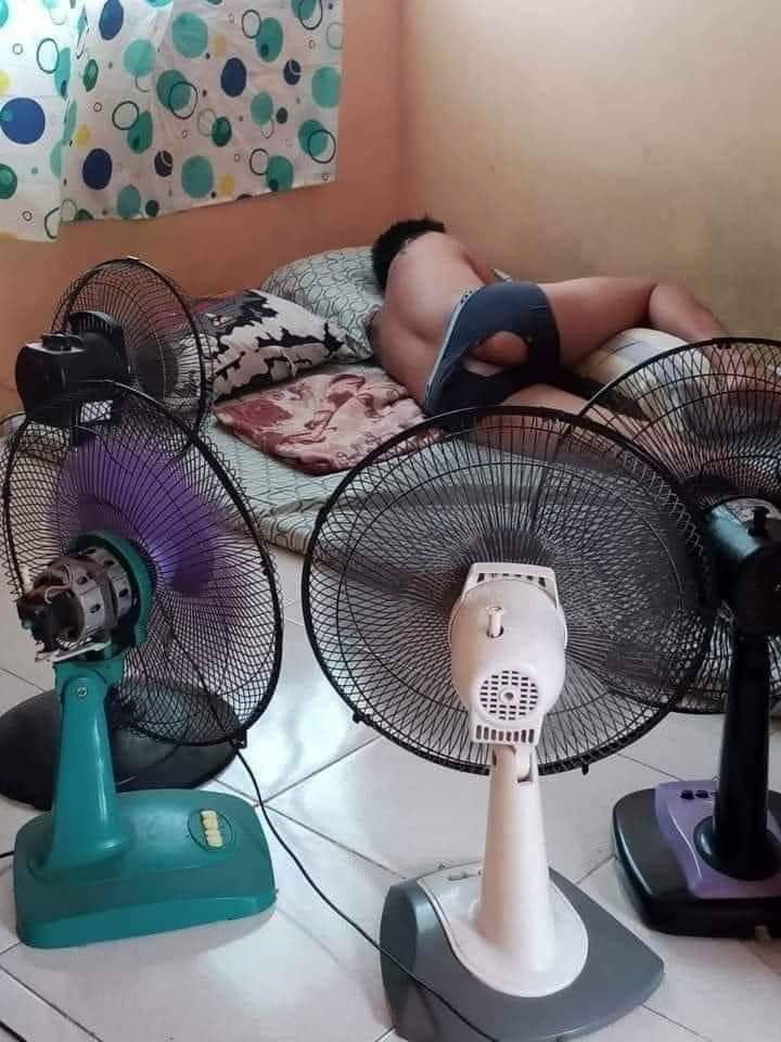 อยู่กับแฟน(FAN)