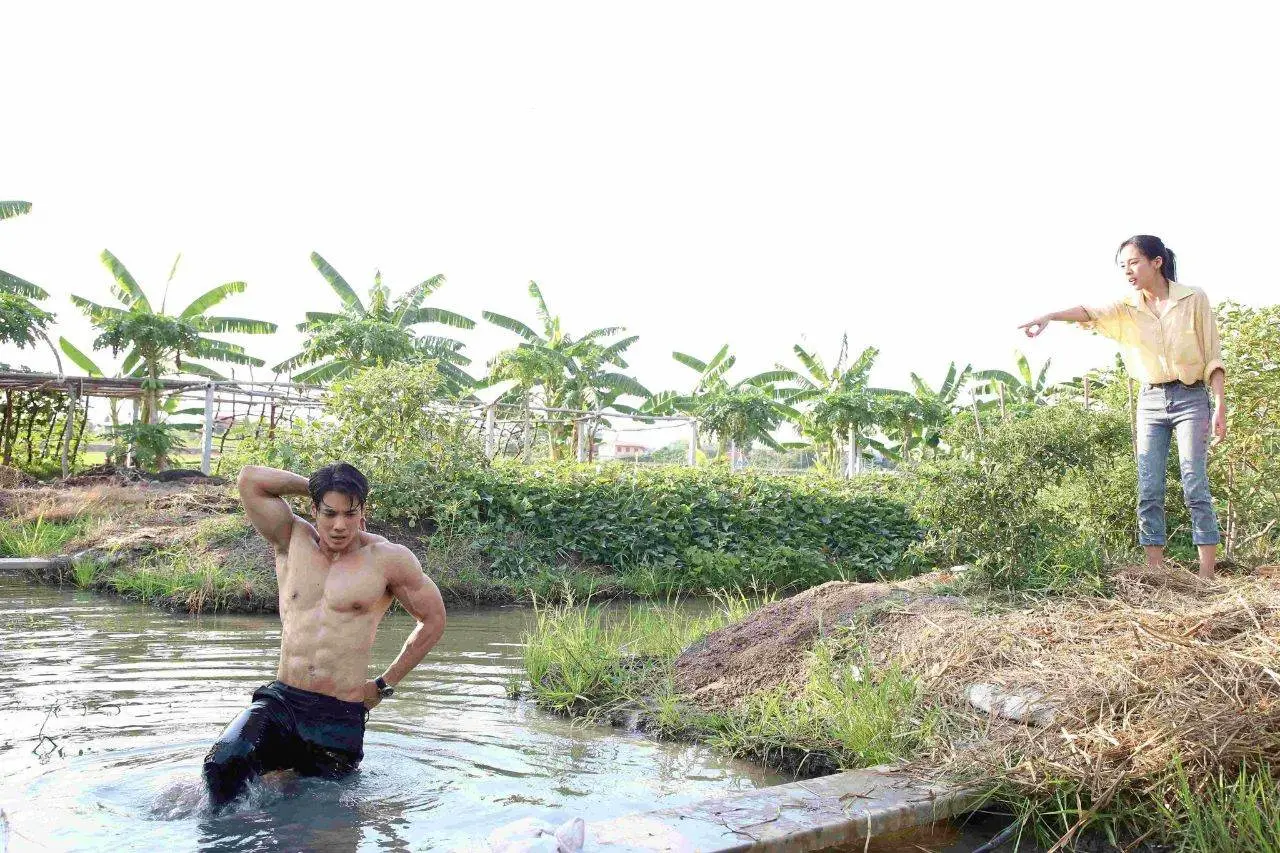 ดาราน่าเลีย