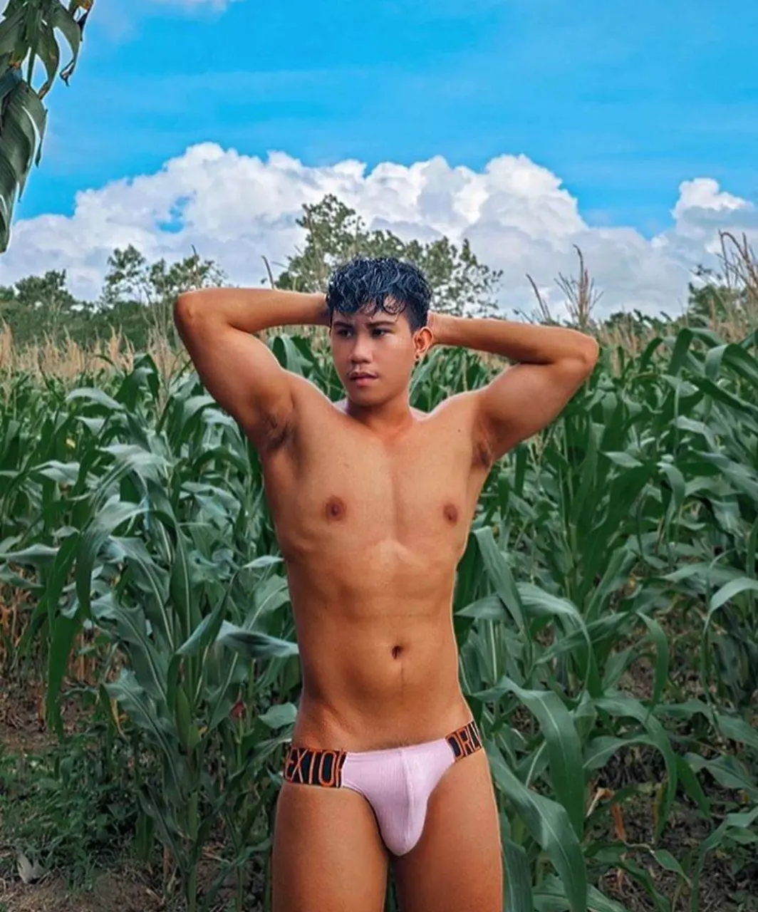 ณ ไร่ข้าวโพด